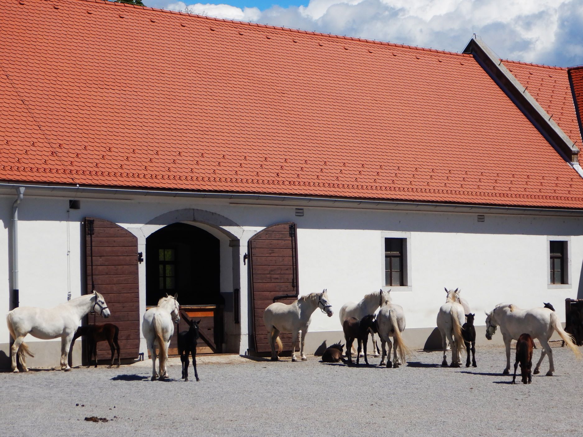 Pferdestall