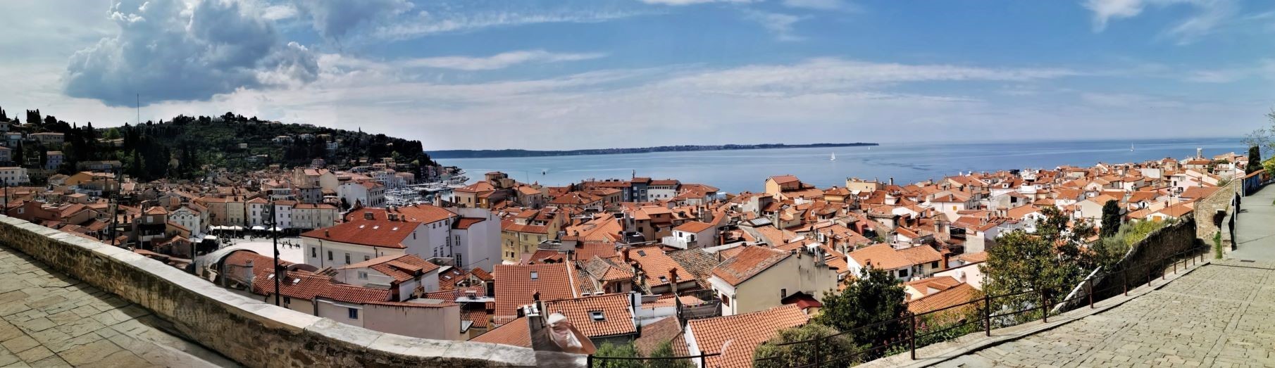 Blick auf Piran